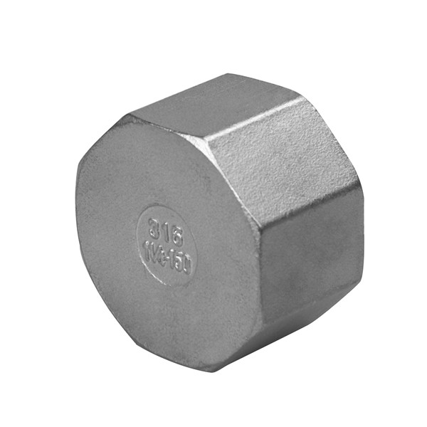 316 stainless steel threaded pipe cap