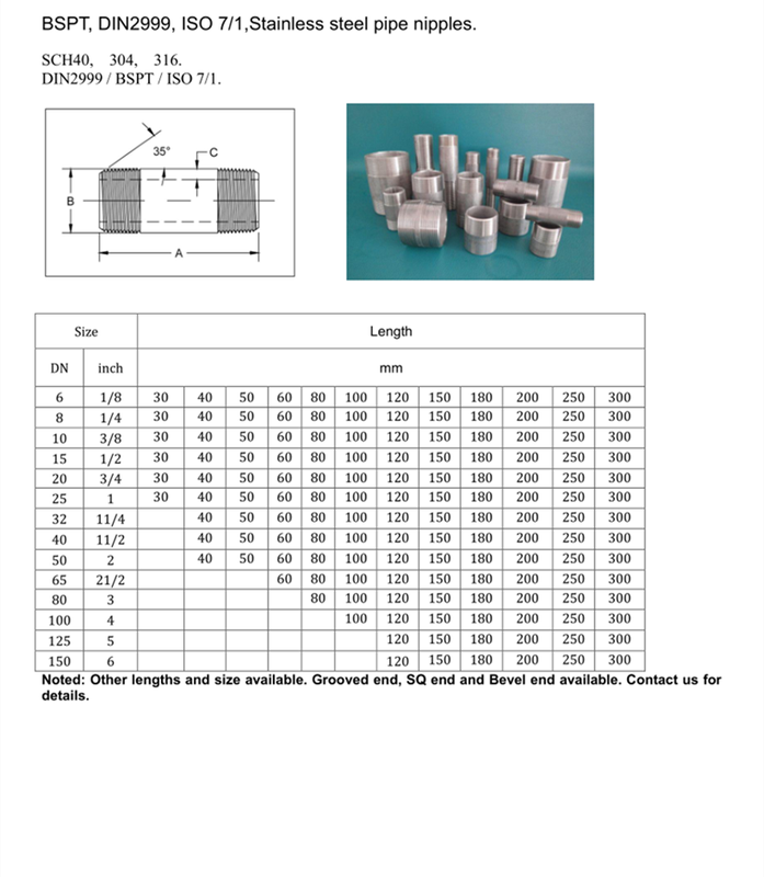 bspt din iso stainless steel pipe nipples