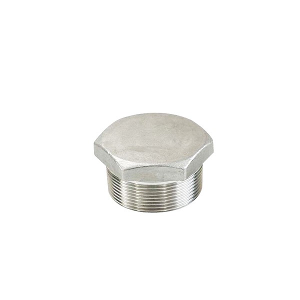 304/316 Stainless Steel Hex Head Plug