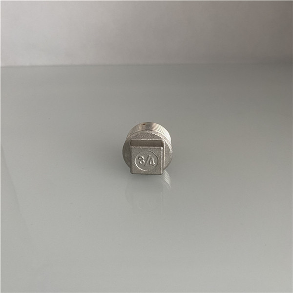 316 Stainless Steel Square Head Pipe Plug