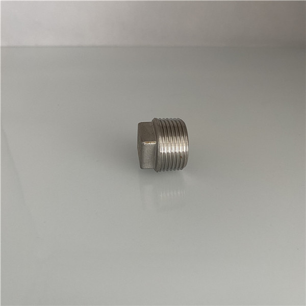 316 Stainless Steel Square Head Pipe Plug