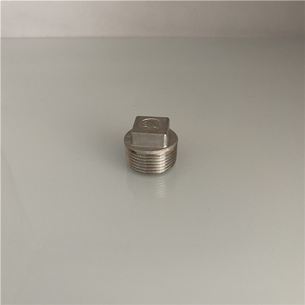 satinless steel threaded pipe plug