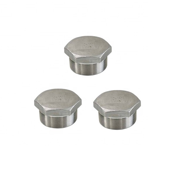 304/316 Stainless Steel Hex Head Plug - Image 2