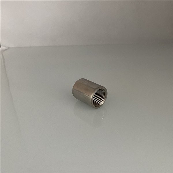Stainless Steel Pipe Fitting Socket Plain