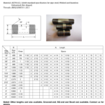 ASTM A733 Galvanized Steel Pipe Nipples